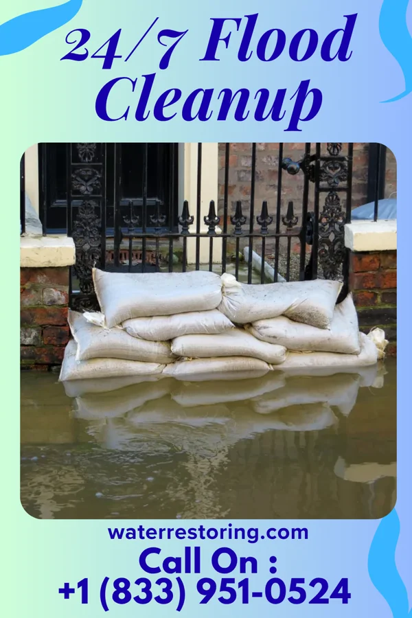 24/7 Flood Cleanup in Alberta, VA
