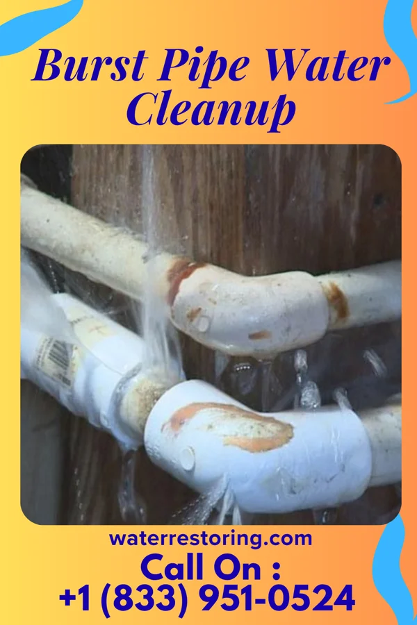 Burst Pipe Water Cleanup in Alberta, VA