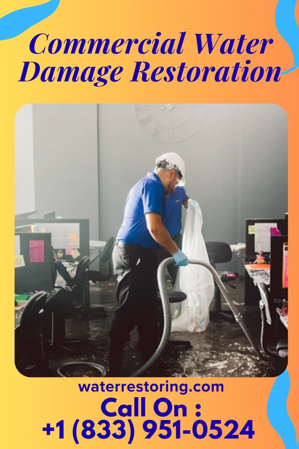 Commercial Water Damage Restoration in Alberta, VA