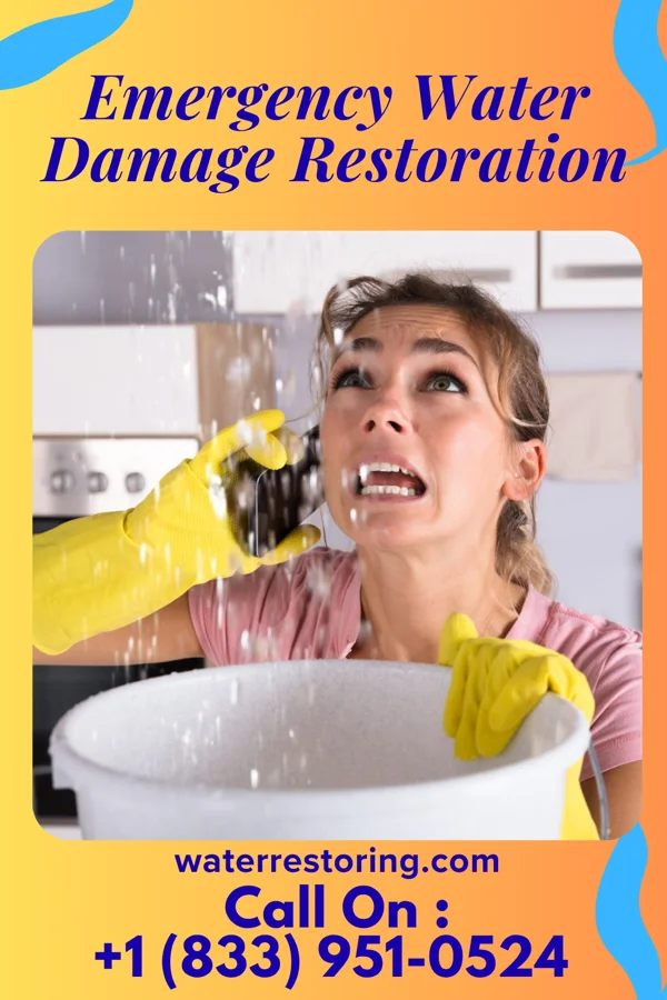 Emergency Water Damage Restoration in Alberta, VA