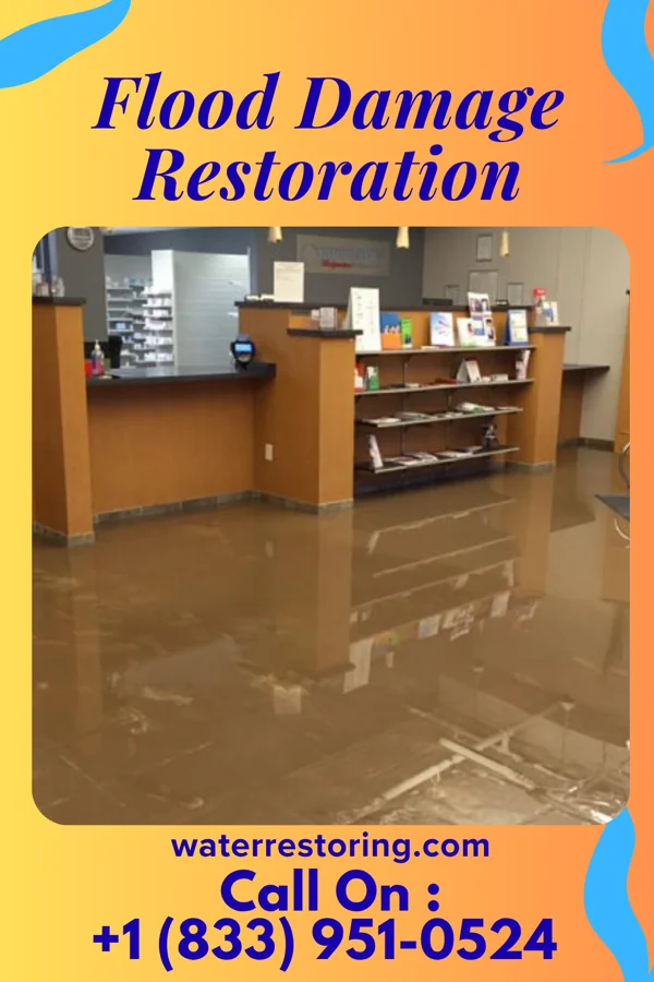 Flood Damage Restoration in Alberta, VA