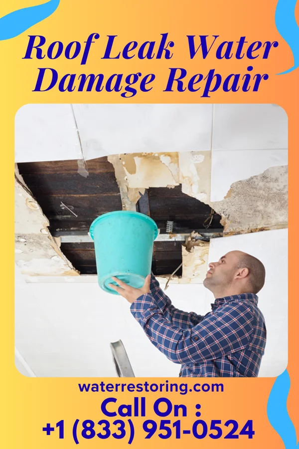 Roof Leak Water Damage Repair in Alberta, VA