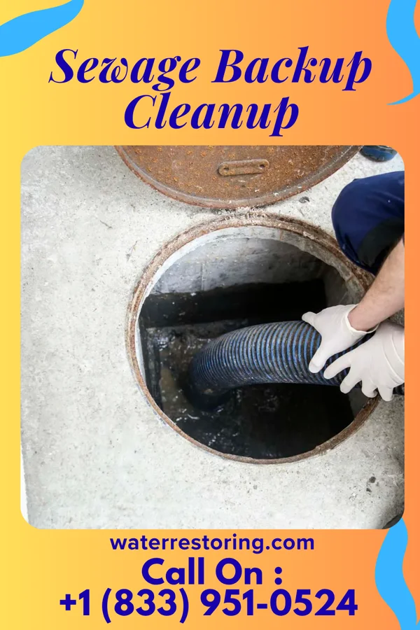Sewage Backup Cleanup in Alberta, VA
