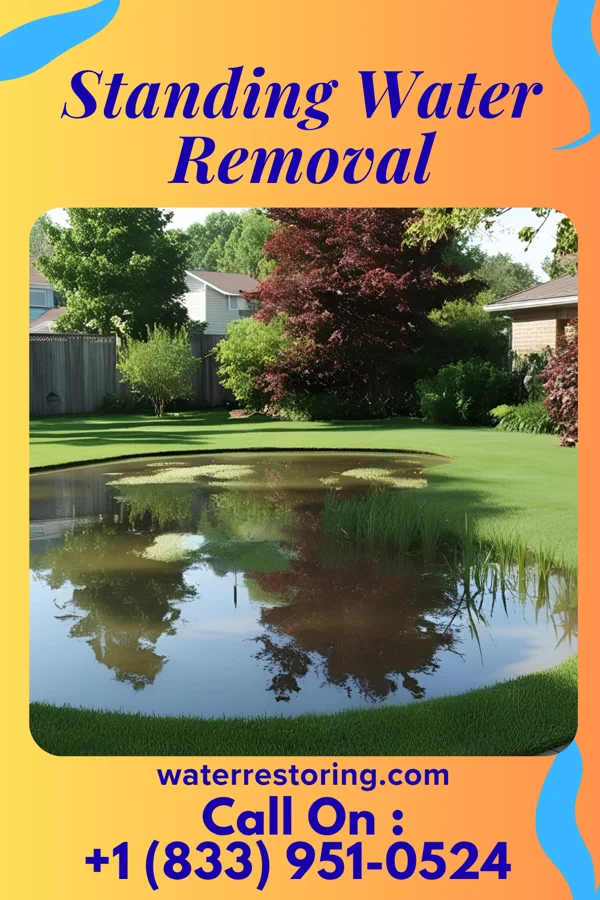 Standing Water Removal in Alberta, VA
